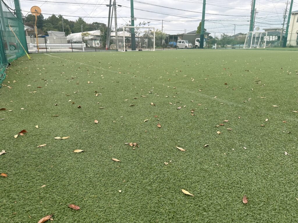 今年もこの季節がやってきました
