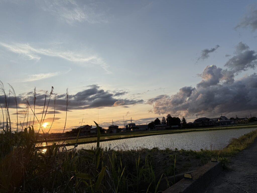 自宅から見える田園風景が幸せ