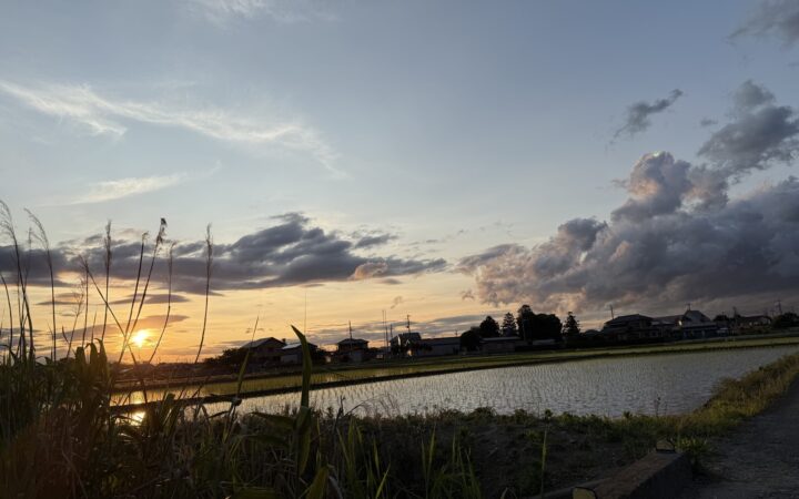 自宅から見える田園風景が幸せ